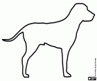 The silhouette of a dog of the English Pointer breed. This breed has been traditionally used as a hunting dog in England