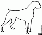 Dogs of the boxer breed are strong and corpulent. The silhouette of a boxer dog with its tail cut off