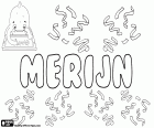 Merijn, name for boy and girl in Dutch, variant of Marijn, Marina and Marinus