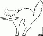 The silhouette of a cat with an arched back and bristly hair. In this drawing you can also see the face of the cat with the whiskers