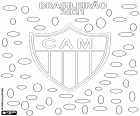 Clube Atlético Mineiro is the champion of the Brasileirão 2021, the Série A of the Brazilian Championship. This is the second title of the Belo Horizonte club after the one achieved fifty years ago, in 1971