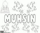 Muhsin, masculine name in Arabic and Turkish, variant of Muhsen, Mohsen and Mohsin, its meaning is beneficient