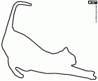 A cat performing a full stretch, from the front paws to the tail, silhouette to complete and color