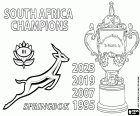 The Springboks of South Africa have retained the world title by beating the All Blacks of New Zealand by 11-12. South Africa is the first country to win the Webb Ellis Cup four times, the trophy for the winner of the rugby world championship. South Africa's four world titles are those won in South Africa 1995, France 2007, Japan 2019 and France 2023