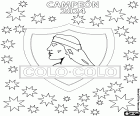 Club Social y Deportivo Colo-Colo is the new champion of Chile's first division in the 2024 season. This title, the 34th for the Santiago club, is a new record in the historical list of winners in Chilean professional football
