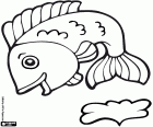 A river fish jumping coloring page