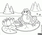 The frog on a water lily coloring page
