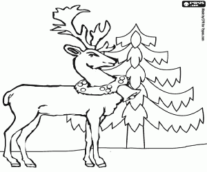 A reindeer with a Christmas collar coloring page