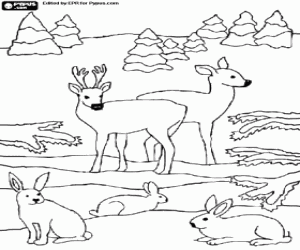 Reindeers and hares at Christmas coloring page