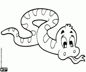 Reptile coloring page