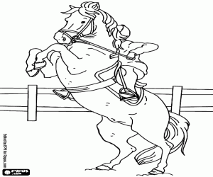 The rider has the reins control coloring page