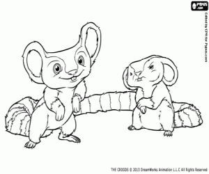 The rodents from The Croods coloring page