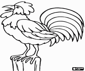 Rooster crowing - Cock - Chanticleer   coloring page