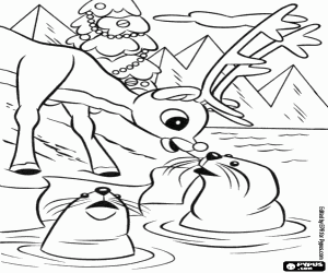 Rudolph talking to the seals coloring page