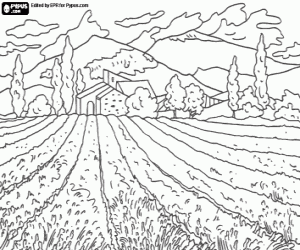 Rural landscape with field and house coloring page