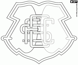 Santa Cruz Futebol Clube's badge coloring page