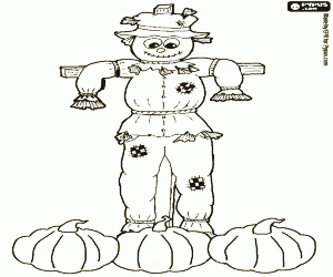 A scarecrow and pumpkins coloring page