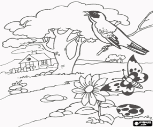 A scene of spring coloring page