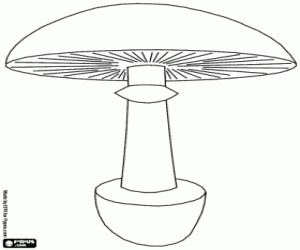 Schematic drawing of a mushroom coloring page