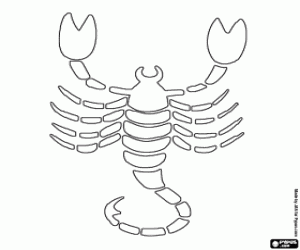 Scorpio, a sign of horoscope coloring page