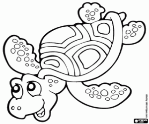 Sea turtle coloring page