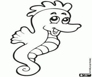 Seahorse coloring page
