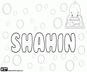 Shahin, name of Muslim origin coloring page