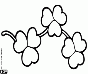 Shamrocks coloring page