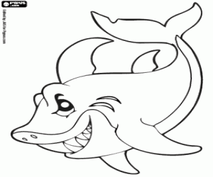 Shark coloring page
