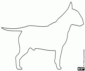 Silhouette of a Bull Terrier dog coloring page