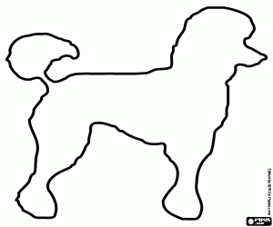 The silhouette of a large poodle coloring page