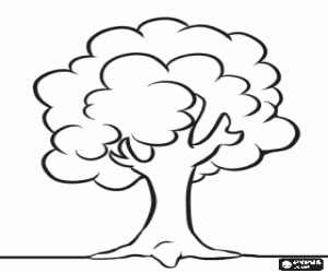 Simple Tree coloring page