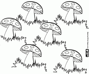 Six mushrooms among the herbs coloring page