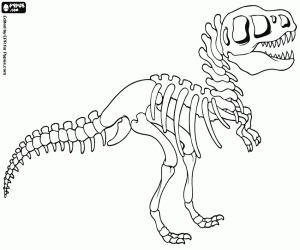 The skeleton of a dinosaur coloring page