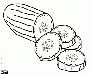 A sliced cucumber coloring page