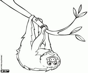 A sloth and the tree leaves coloring page