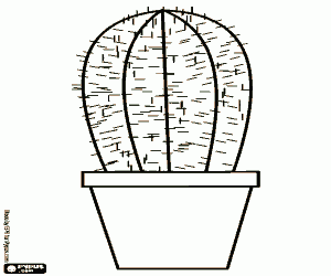 A small cactus in a pot coloring page