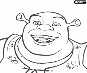The smiling face of Shrek coloring page