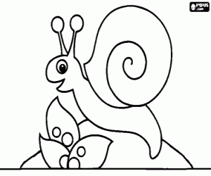 A snail over a stone coloring page