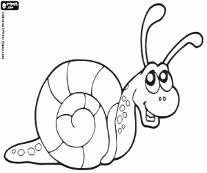 Snail coloring page