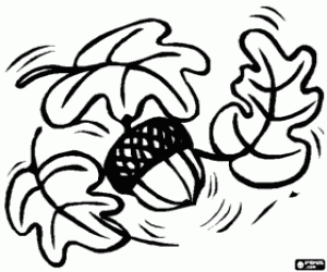 Some oak leaves and an acorn coloring page