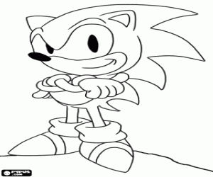 Sonic the Hedgehog from video game coloring page