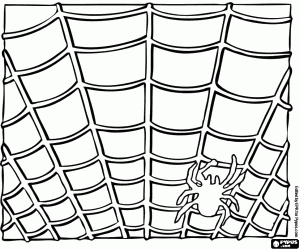 The spider on its web coloring page