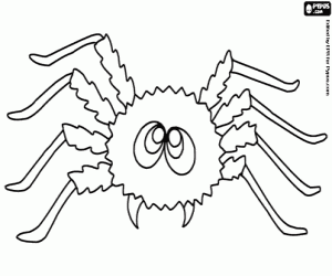 Spider coloring page