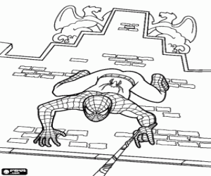 Spiderman on the building's facade coloring page
