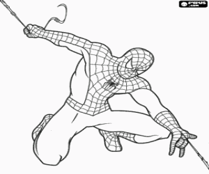 Spiderman and his spider's web coloring page