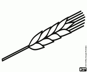 A spike of cereal. a spike of wheat coloring page