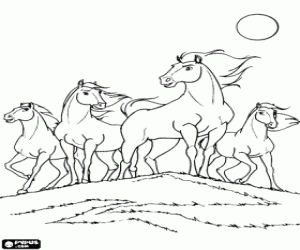 Spirit with his herd coloring page