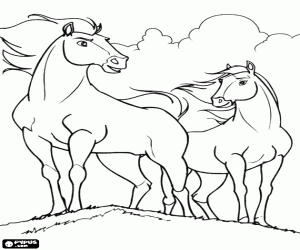 Spirit and Rain, horse and mare coloring page