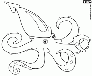 Squid coloring page